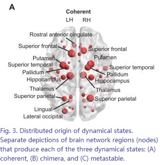 Cognitive chimera states in human brain networks